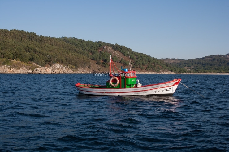 Barcos de pesca, ría de Vigo , Galicia