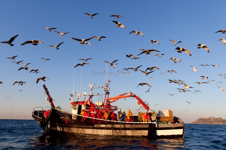 Barcos de pesca, ría de Vigo, Galicia
