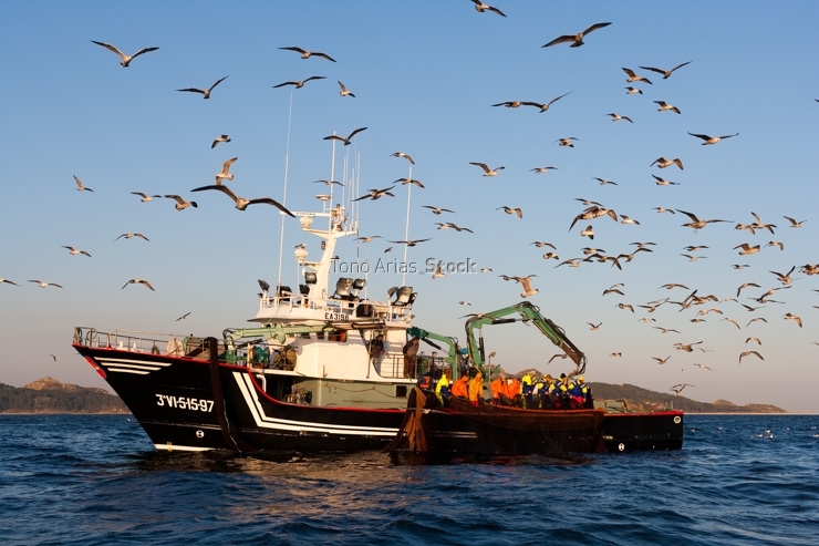 Barcos de pesca, ría de Vigo, Galicia
