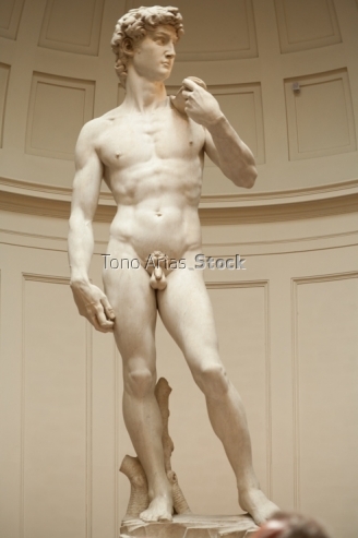 David de Miguel Ángel, Florencia