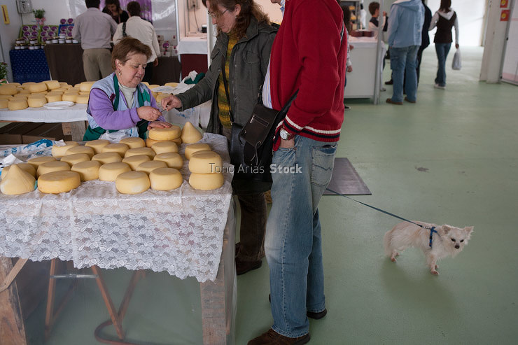 Festa do queixo de Arzúa, Galicia