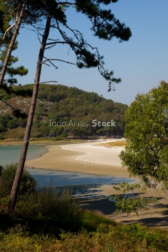 Illas Cíes, Rias Baixas, Galicia