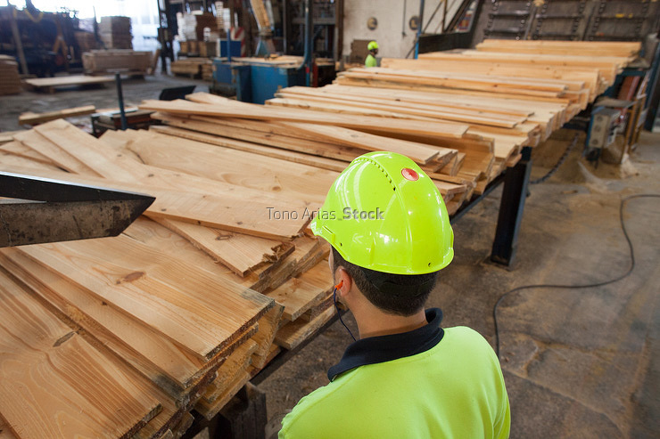 Industria de la madera, Galicia
