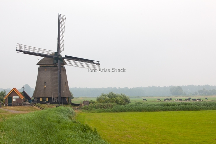 Moilnos de viento ,Holanda