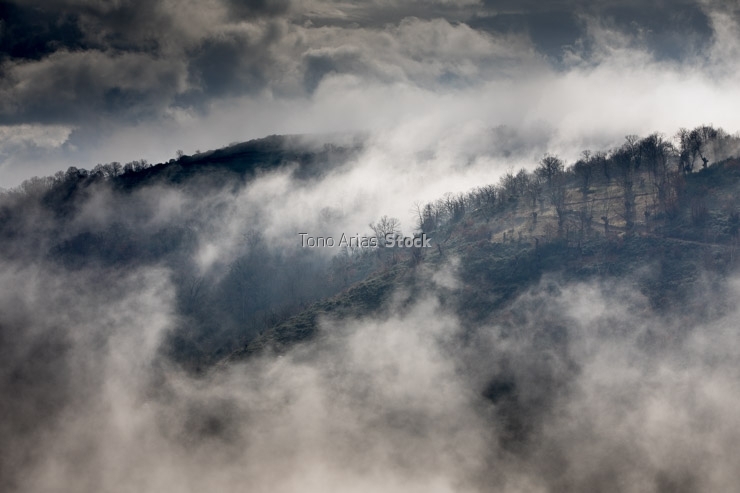 Nieblas matinales en Manzaneda, Galicia