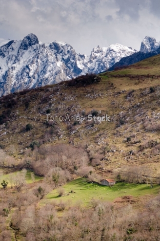 Picos de Europa, Asturias
