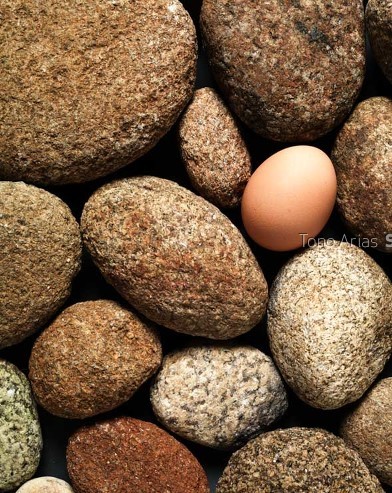 piedras y huevo