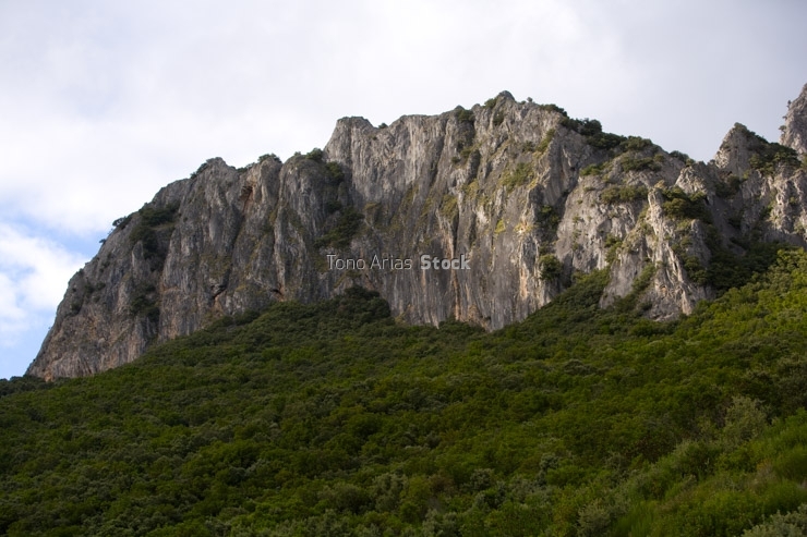 Serra da enciña da Lastra,Valdeorras,Galicia