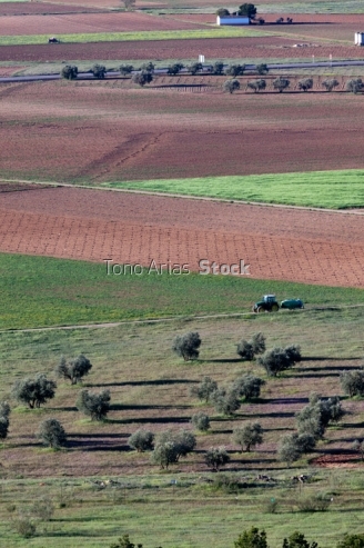 Terrenos agrícolas, Alcazar de San Juan, Castilla la Mancha