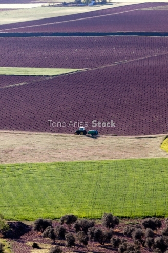 Terrenos agrícolas, Alcazar de San Juan, Castilla la Mancha