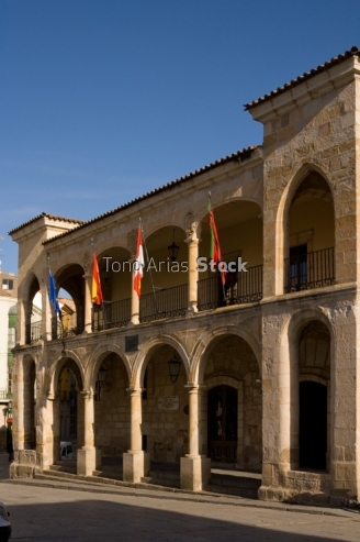 Viejo Ayuntamiento, Zamora, castilla y León