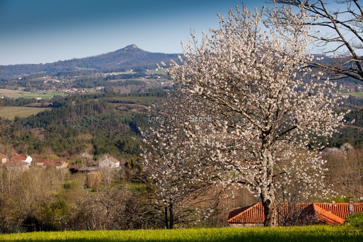 Vista do Pico Sacro desde Riobó, A Estrada, Galicia