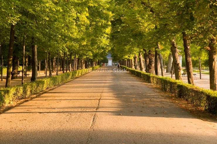  jardines de Aranjuez, Madrid,