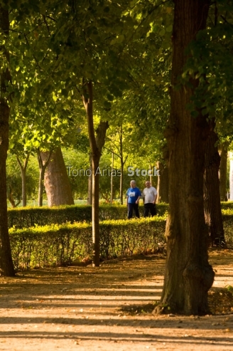  jardines de Aranjuez, Madrid,