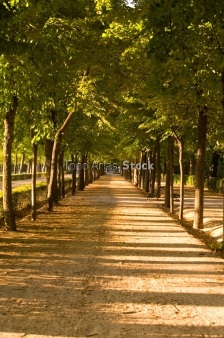  jardines de Aranjuez, Madrid,