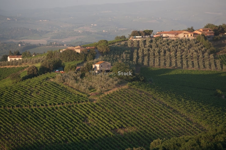  San Gimignano, Toscana, Italia