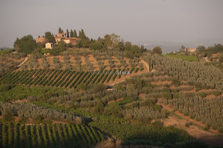  San Gimignano, Toscana, Italia