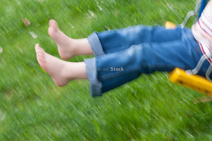 31741