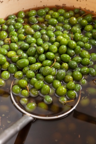 Aceitunas de Campo Real, Comunidad de Madrid