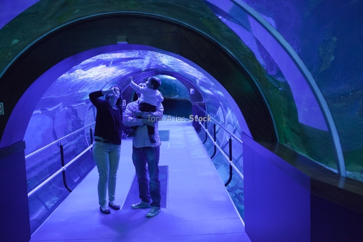 Acuario,Donostia, Euskadi