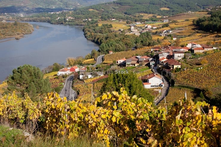 Aldea de Troncoso, O Ribeiro, provincia de Ourense, galicia
