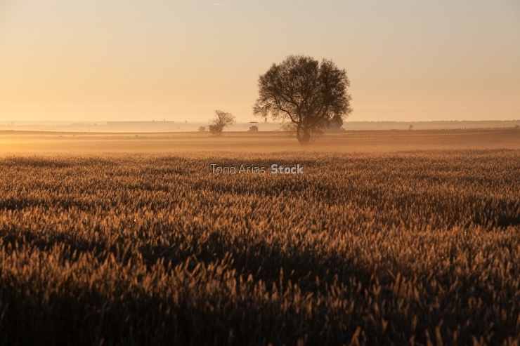 Amanecer en Castilla la Mancha, cerca de La Villa de Don Fadriqu