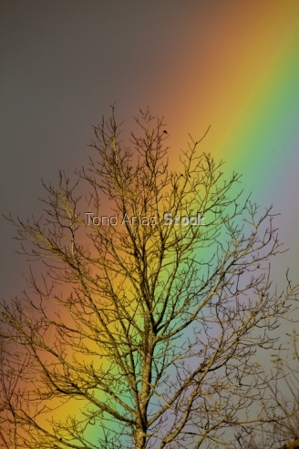 Arco Iris