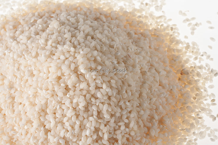 Arroz