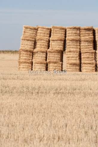 Balas, Rueda,provincia de  Valladolid , Castilla león, 