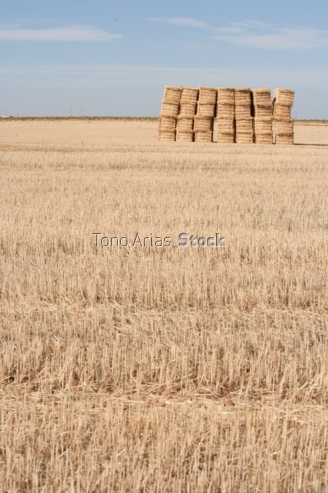 Balas, Rueda,provincia de  Valladolid , Castilla león, 