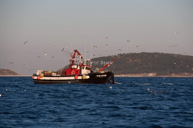Barcos de pesca, ría de Vigo, Galicia