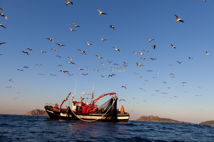 Barcos de pesca, ría de Vigo, Galicia