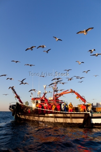 Barcos de pesca, ría de Vigo, Galicia