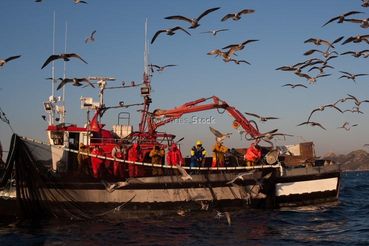 Barcos de pesca, ría de Vigo, Galicia