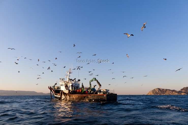 Barcos de pesca, ría de Vigo, Galicia