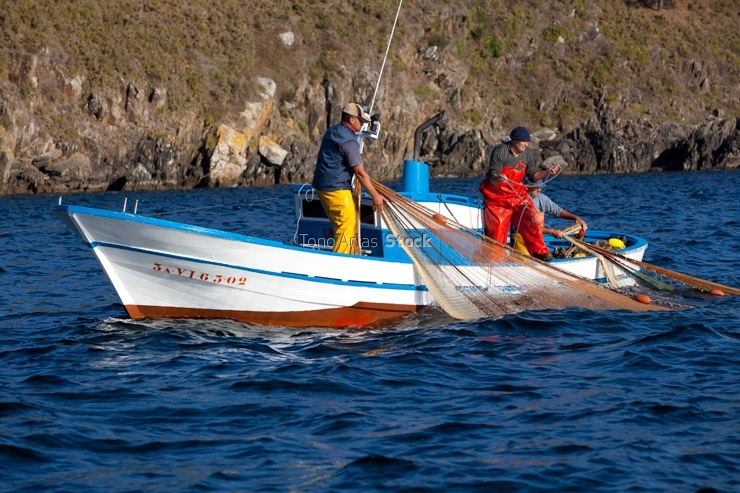 Barcos de pesca, ría de Vigo, Galicia