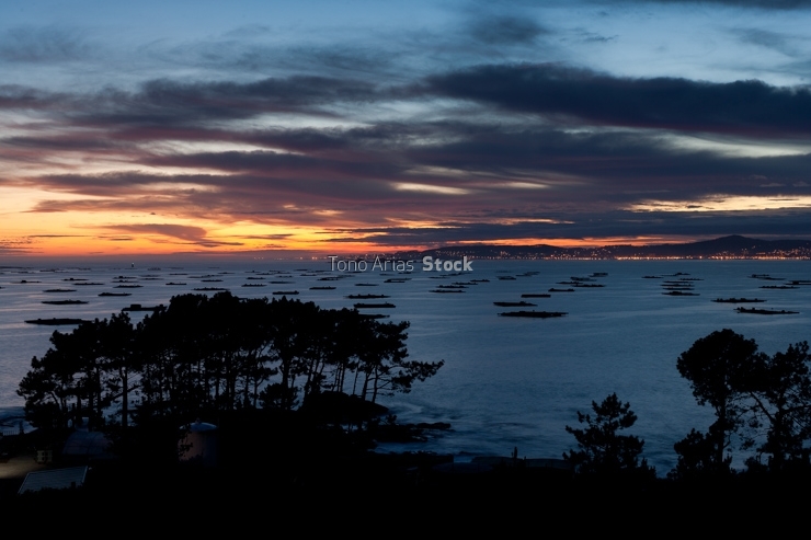 Bateas ría de Arousa, provincia de Pontevedra, Galicia