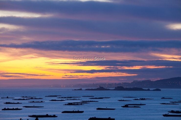 Bateas ría de Arousa, provincia de Pontevedra, Galicia