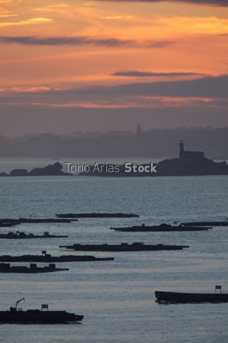 Bateas ría de Arousa, provincia de Pontevedra, Galicia