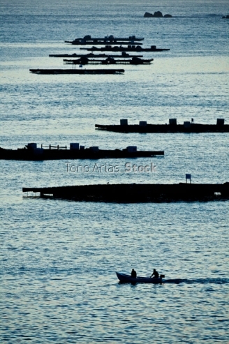 Bateas ría de Arousa, provincia de Pontevedra, Galicia