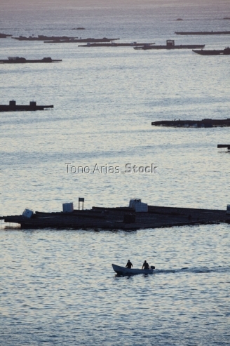 Bateas ría de Arousa, provincia de Pontevedra, Galicia