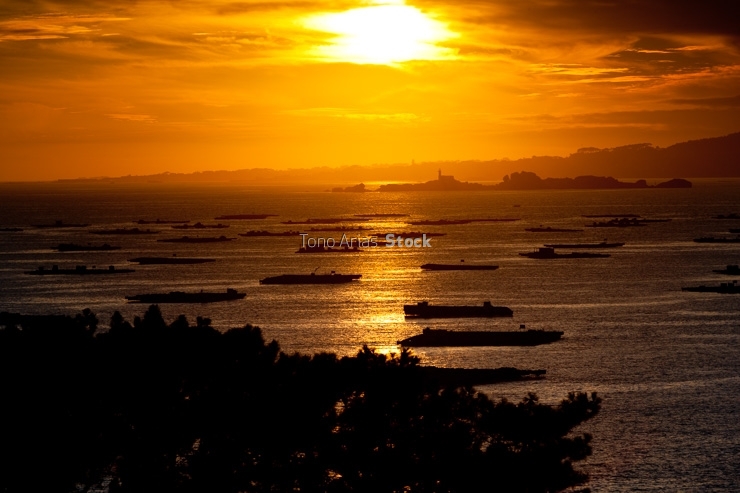 Bateas ría de Arousa, provincia de Pontevedra, Galicia