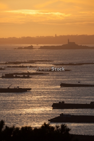 Bateas ría de Arousa, provincia de Pontevedra, Galicia