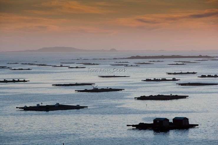 Bateas ría de Arousa, provincia de Pontevedra, Galicia