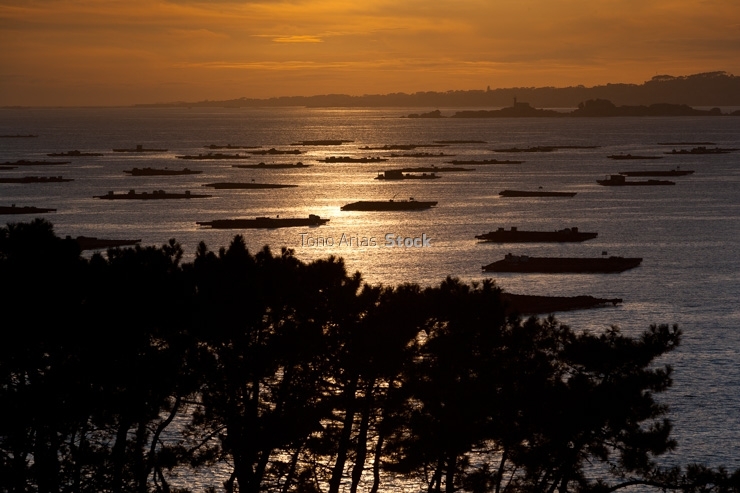 Bateas ría de Arousa, provincia de Pontevedra, Galicia