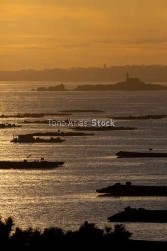 Bateas ría de Arousa, provincia de Pontevedra, Galicia