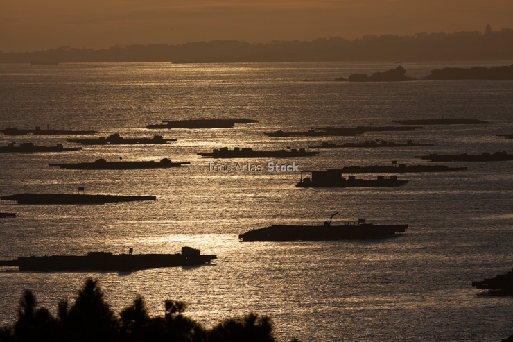 Bateas ría de Arousa, provincia de Pontevedra, Galicia