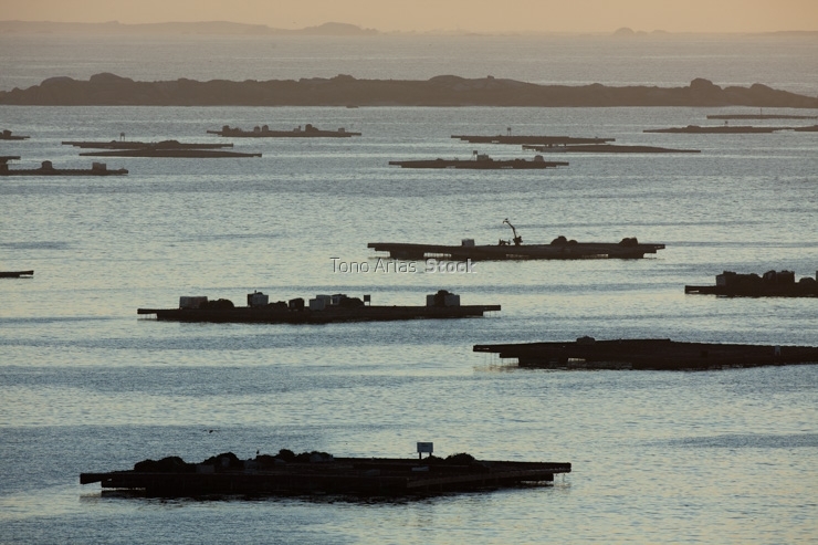 Bateas ría de Arousa, provincia de Pontevedra, Galicia