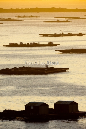 Bateas ría de Arousa, provincia de Pontevedra, Galicia