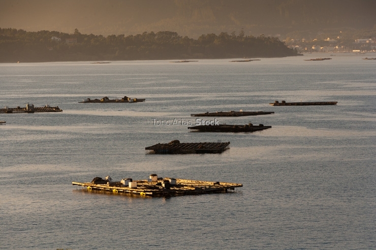 Bateas ría de Arousa, provincia de Pontevedra, Galicia